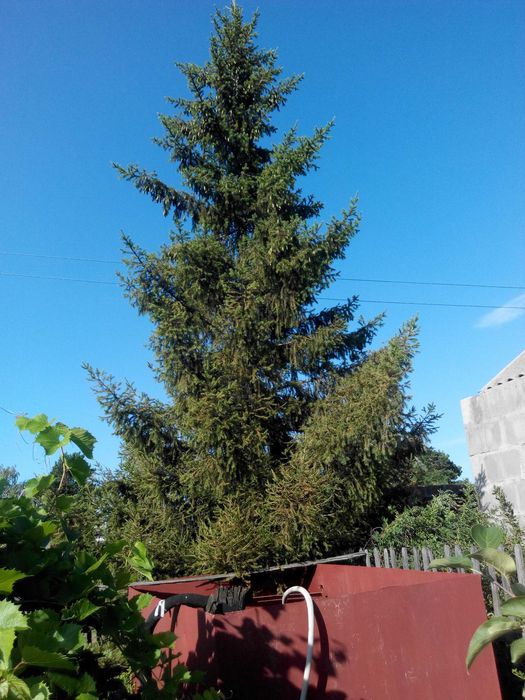 Продам дачу в СО "Автомобилист"