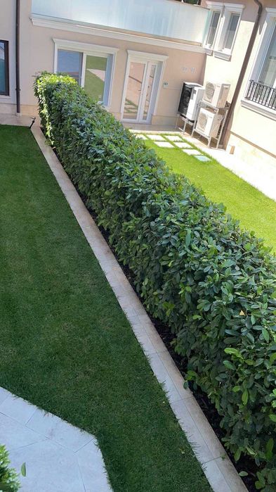 Елит Гардън -озеленяване и дизайн