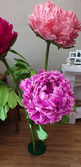 Цветы обьемные из гофрированной бумаги