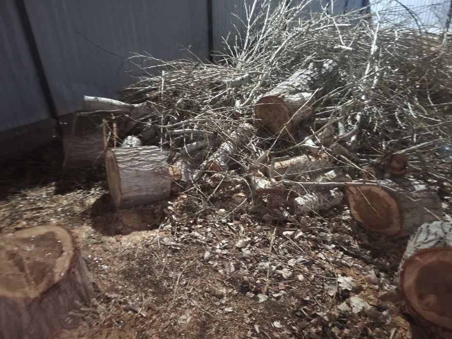 Отдам даром дрова