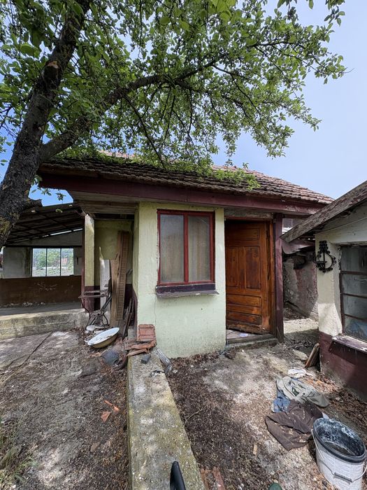 Casa Variasu mare
