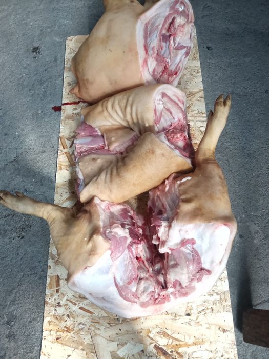 Продам мясо свинины домашнее