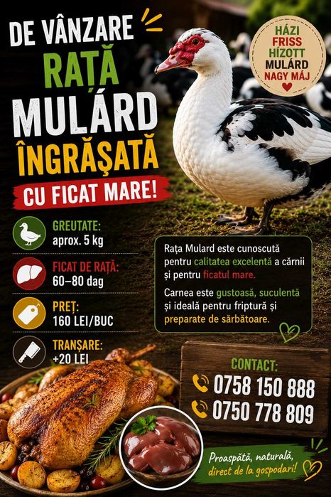 De vânzare rata Mulárd