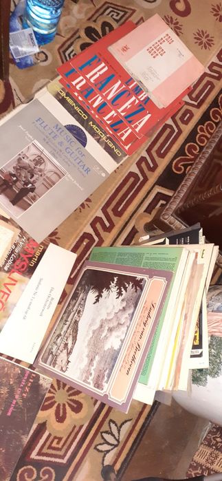 Discuri din vinil cu muzica clasica, populara etc