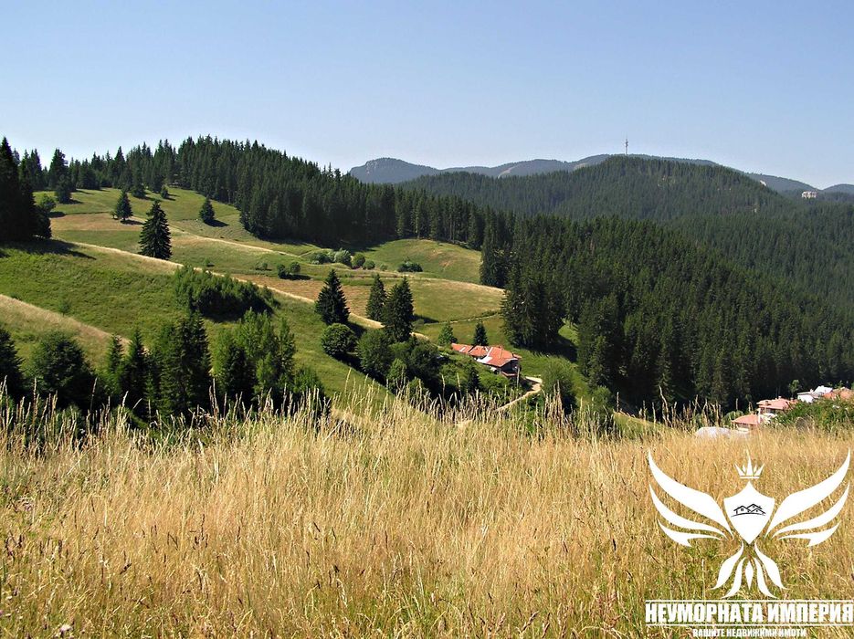 Продавам парцел УПИ 3000кв.м. в село Проглед, общ.Чепеларе