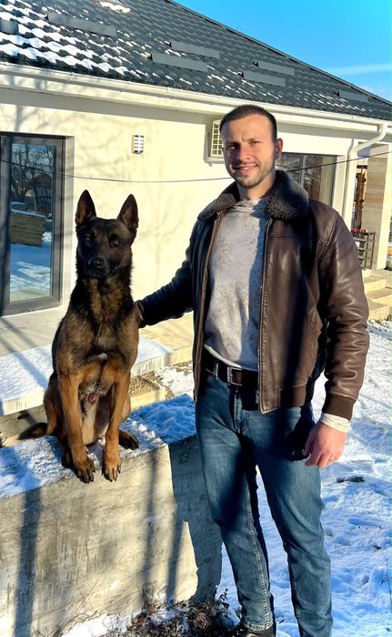 Pui Ciobanesc Belgian Malinois