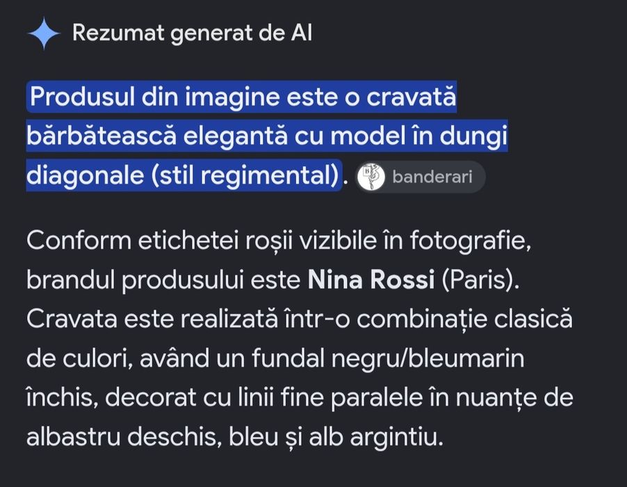 Cravată elegantă - Nina Rossi