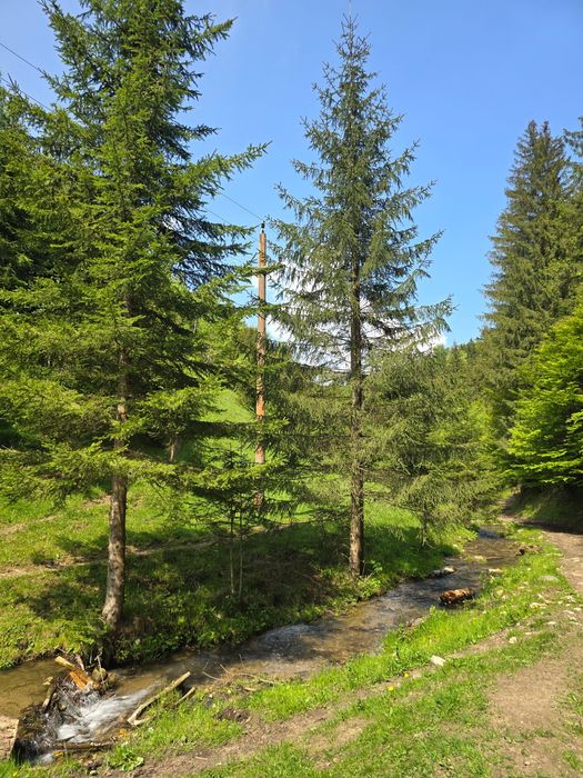 Teren linistit 4 hectare,  Șirnea,  Fundata cu râu pe 2 laterale