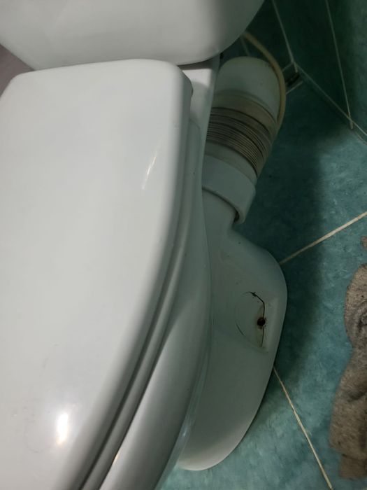 Продаётся унитаз