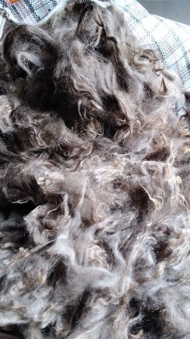 Продам козий  пух