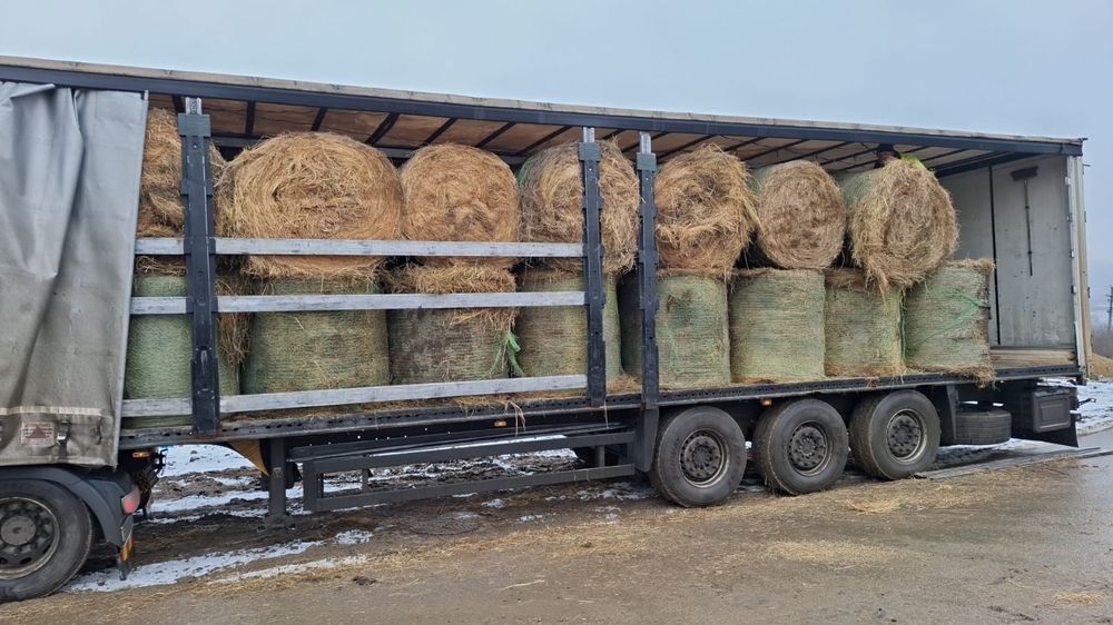 Baloti fan sau lucerna rotunzi min.40.drept.500.Trans.Inclus la TIR>RO