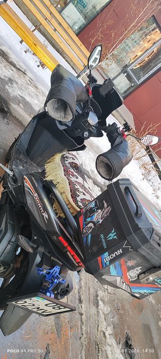 Макси лиййа 175 куп