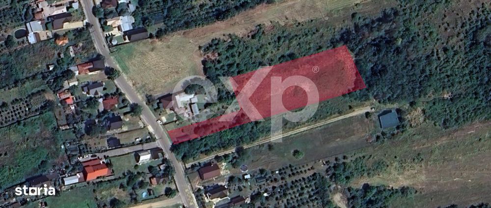 Teren 5.000 mp de vanzare – Zona Dealu Viilor (Mosoaia), cadru natur