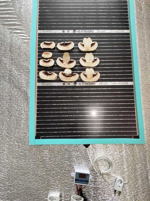 Сушилня за пчелен прашец, гъби, плодове, билки и др бюджетна АРНО