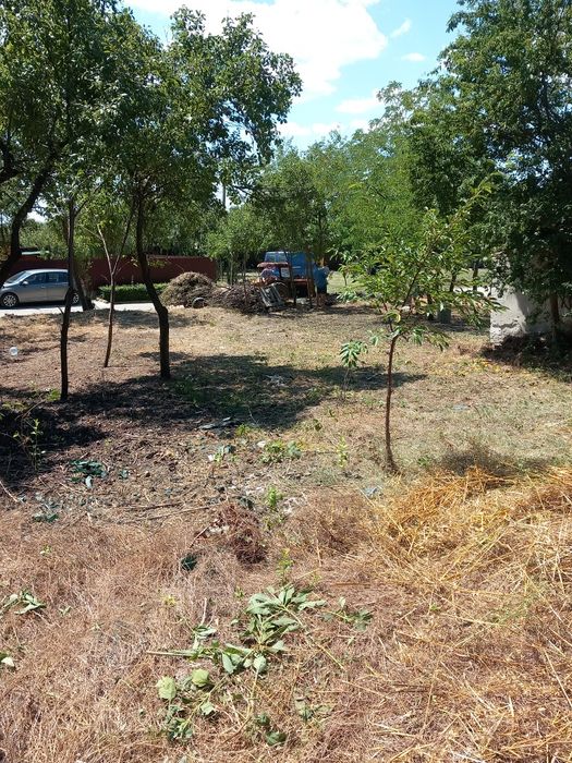 Vând teren intravilan cu casa nelocuibilă