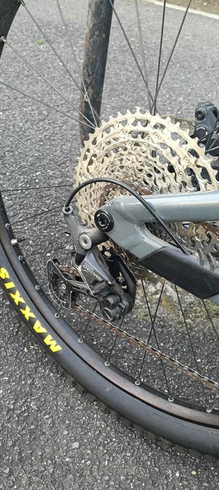Mtb  FOCUS Thron
