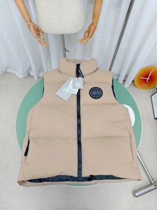 Canada goose Елек