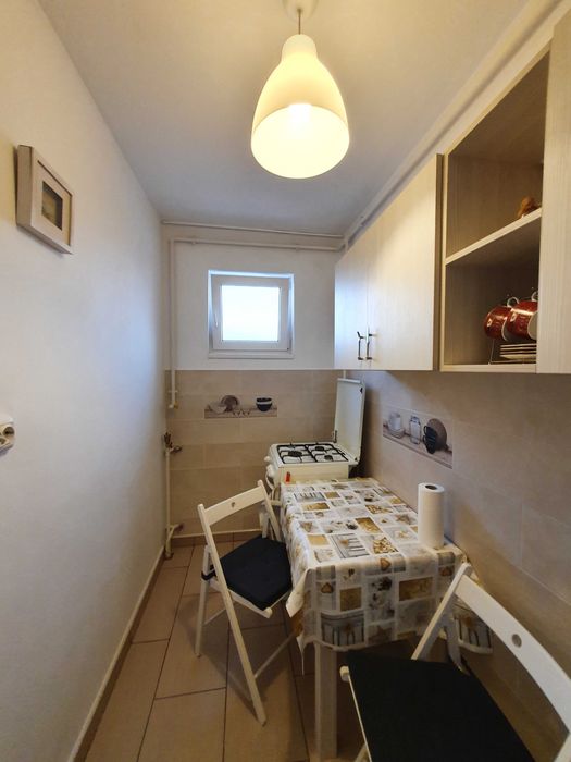 Vand Garsoniera Theodor Pallady