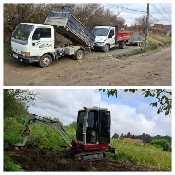 Miniexcavator și basculanta