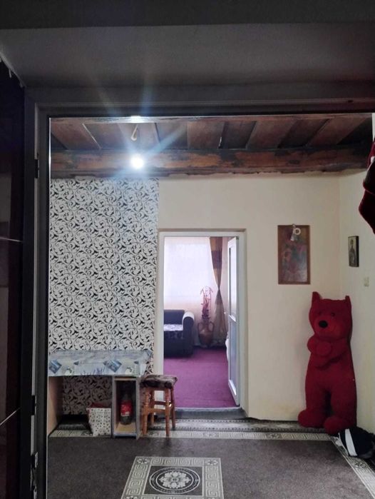 Casa de vanzare in Cosarii