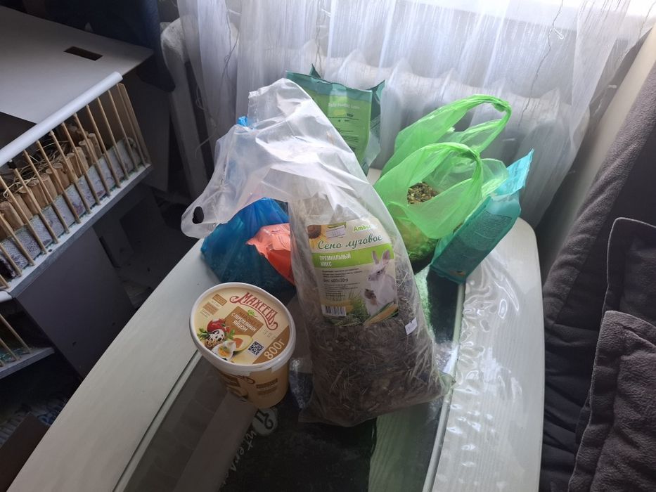 Дом, корм, клетка для грызунов.