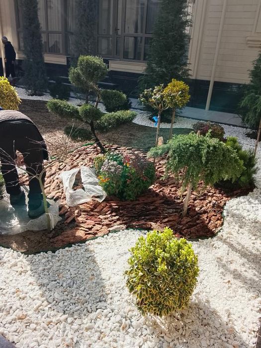 Tanlov sizdan landshaft-manzara bizdan