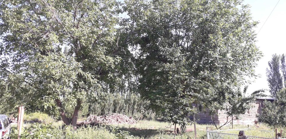 Продам землю 20соток массив Югнаки Ттз кадастр