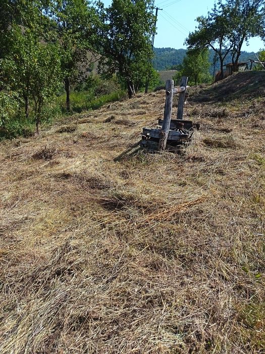 Preturi mici la defrișări,toaletat copaci, cosit,curățat terenuri, gos