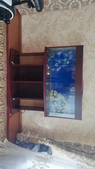 Akvarium holati yaxshi