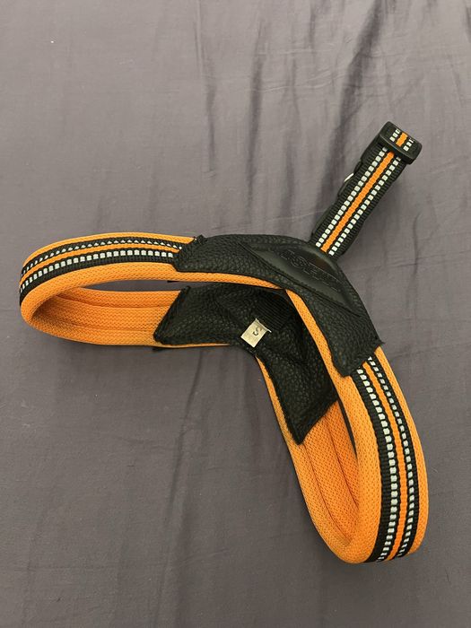 Шлейка и поводок