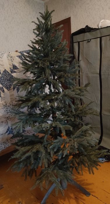 продам Ёлки в нормальном состоянии