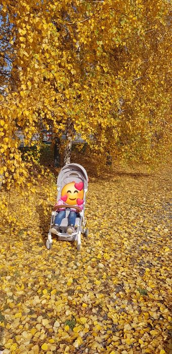 Летняя коляска...