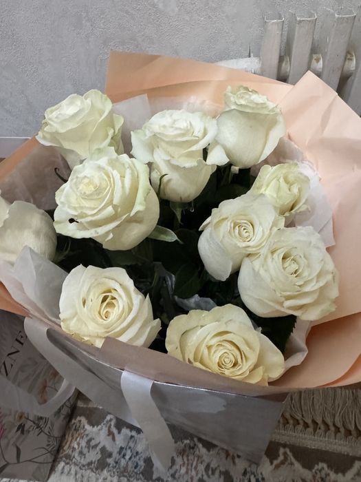 20.12 тунде келді свежый