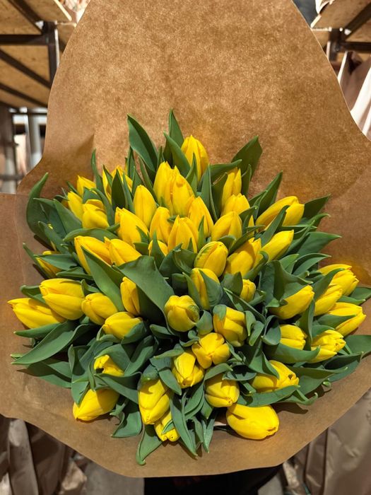 Тюльпаны по низким ценам