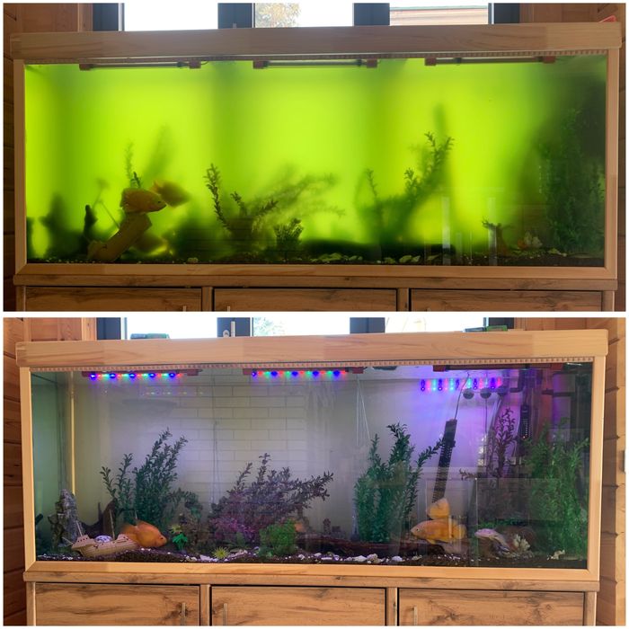 Обслуживание пресноводных аквариумов