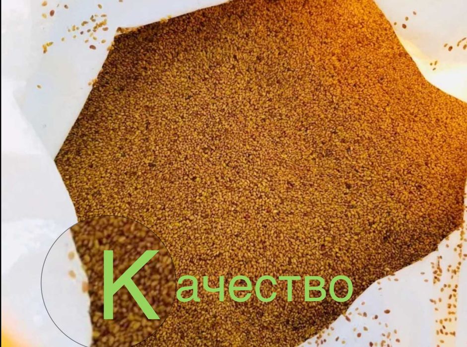 Иновативен БЪЛГАРСКИ сорт "ДАРА" Семена от Люцерна / Люцерново Семе