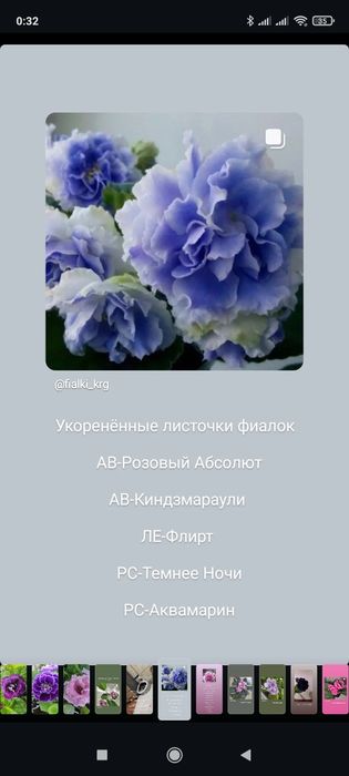 Фиалка трейлер мини самовывоз Актас