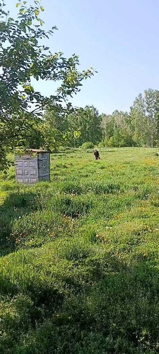 Продам Дом, Сев-Каз, село Новотроицкое