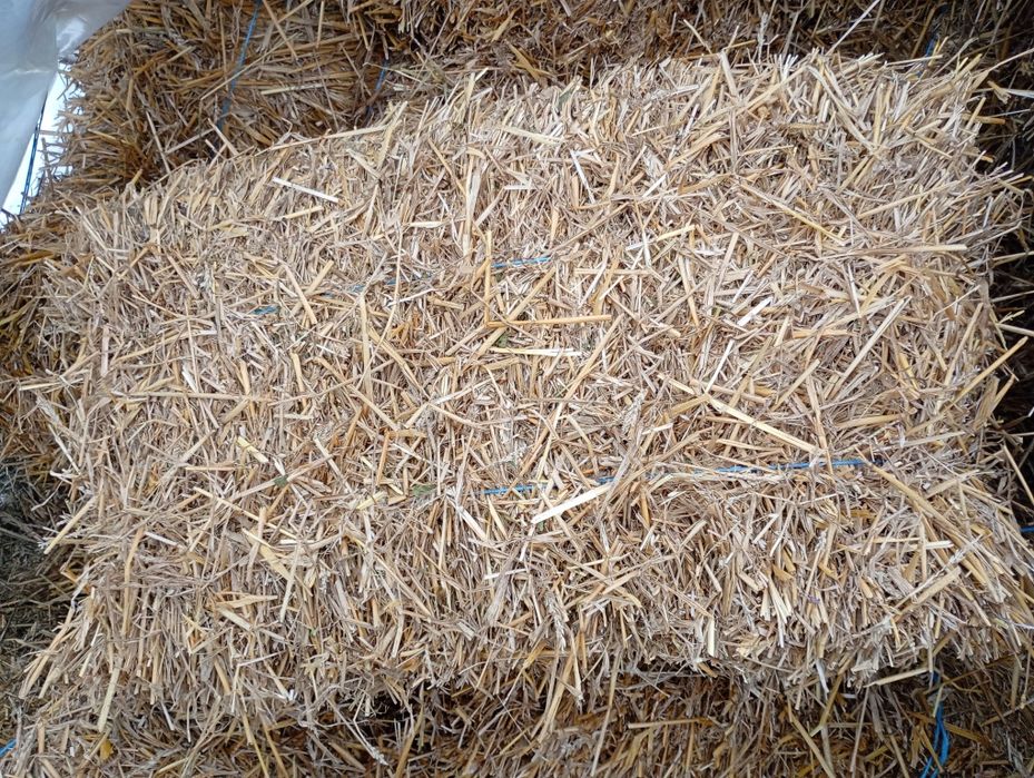 Vand baloți lucernă, fan și paie