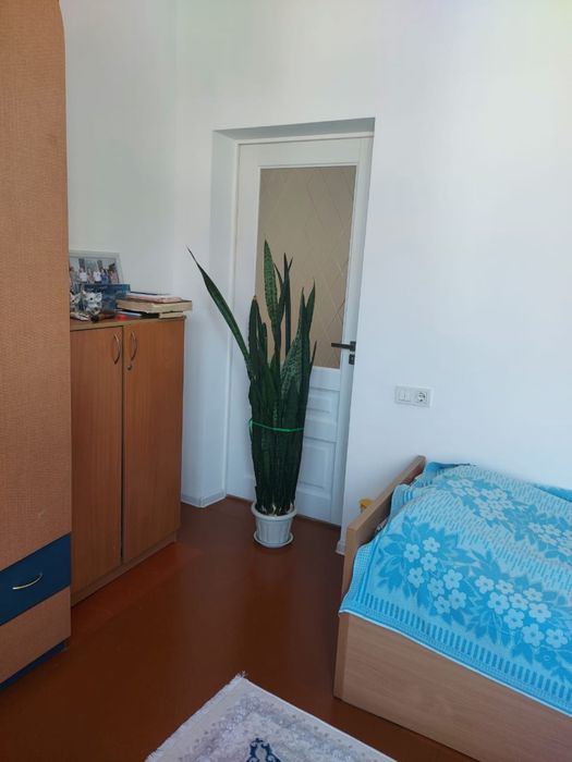 Продам домашние растения