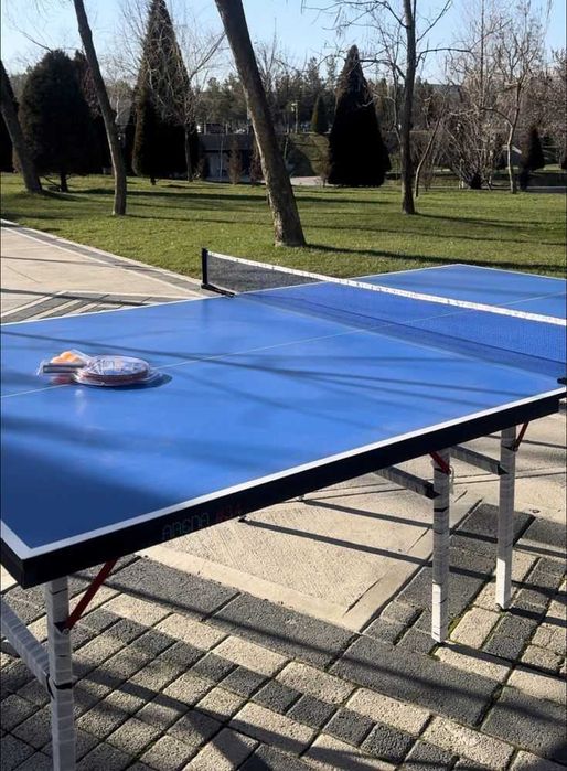 Настольный теннис