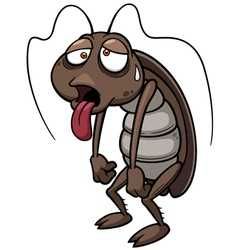 Адвион шприц от тараканов. Таракан . Оптом.дори. Адвон Advion Ад