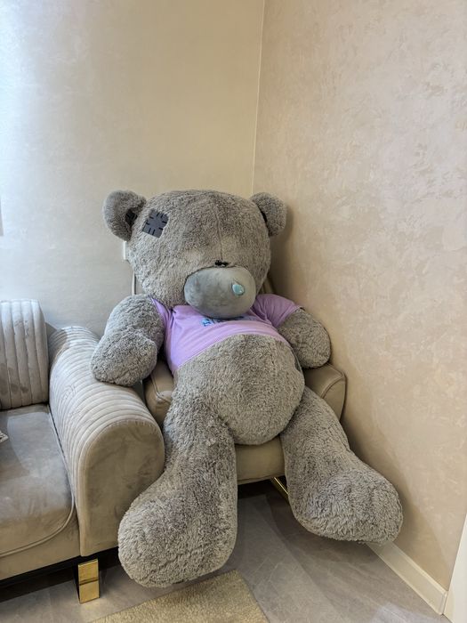 Оригинал TEDDY сотилади