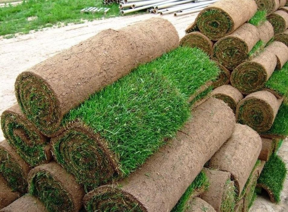 Газон екиш хизмати