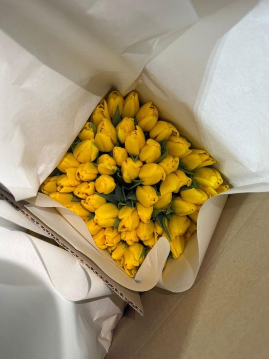 Продаю тюльпаны свежие по 700