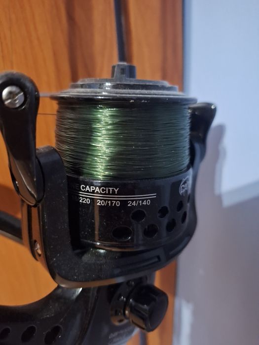 Въдица за шарани