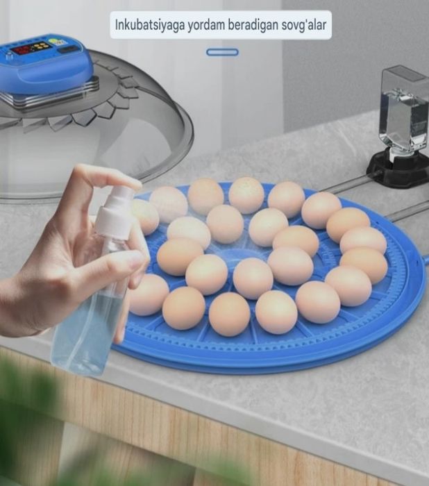 Inkubator Avtomat 26 ta lik