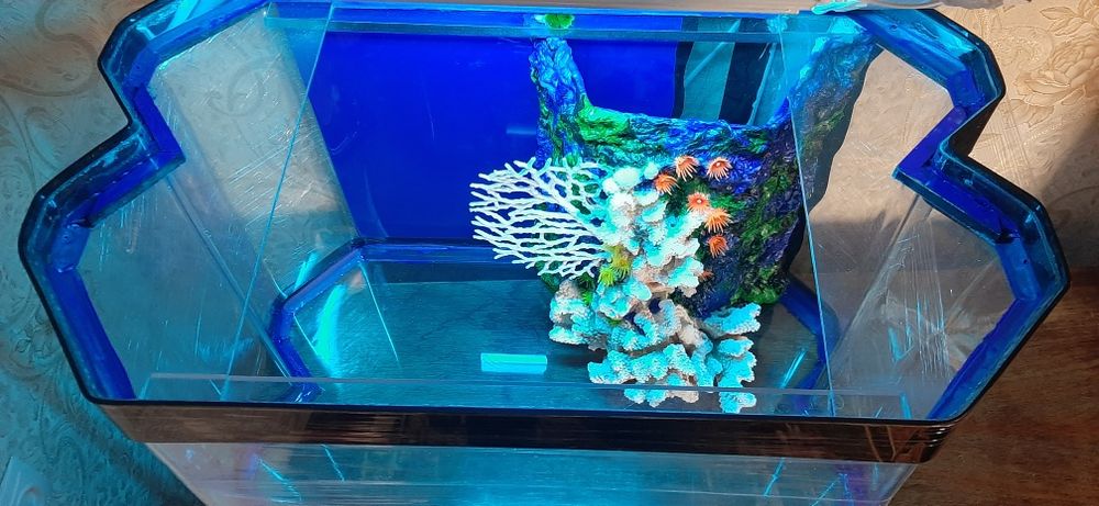 Акриловой аквариум