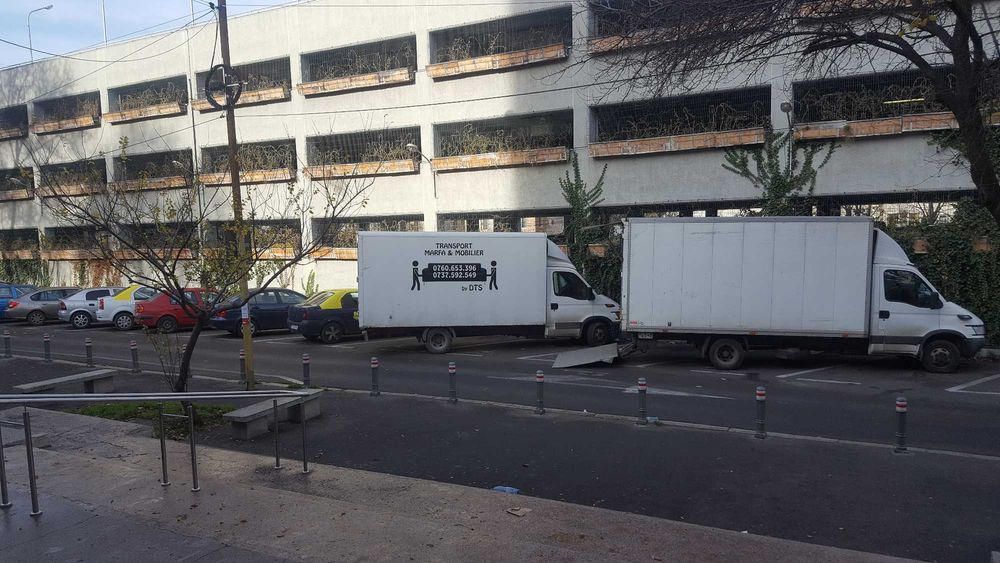 Mutari Profesionale Constanta