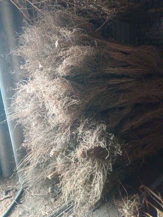 Hovli shipirgi sotiladi